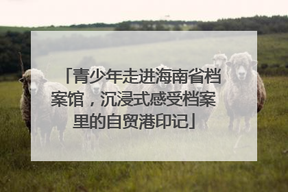 青少年走进海南省档案馆，沉浸式感受档案里的自贸港印记