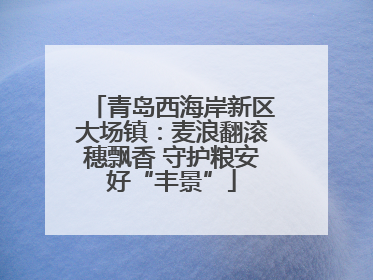 青岛西海岸新区大场镇：麦浪翻滚穗飘香 守护粮安好“丰景”