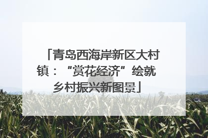青岛西海岸新区大村镇：“赏花经济”绘就乡村振兴新图景