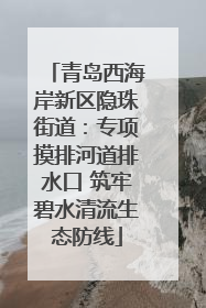 青岛西海岸新区隐珠街道：专项摸排河道排水口 筑牢碧水清流生态防线