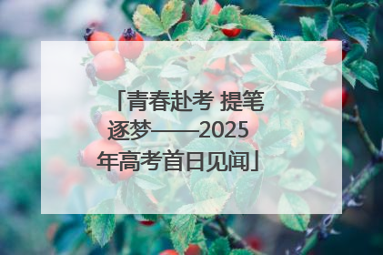 青春赴考 提笔逐梦——2025年高考首日见闻
