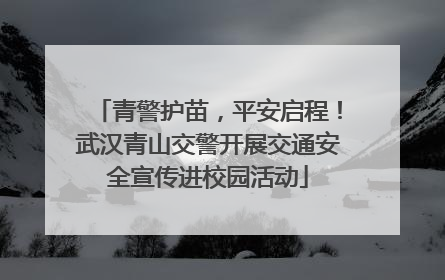 青警护苗，平安启程！武汉青山交警开展交通安全宣传进校园活动