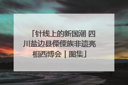 针线上的新国潮 四川盐边县傈僳族非遗亮相西博会｜图集