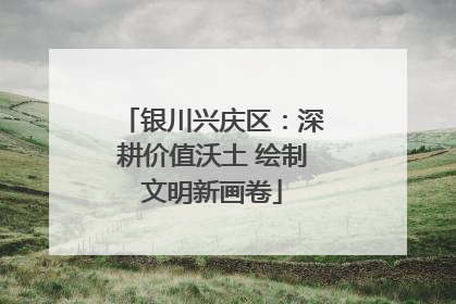银川兴庆区：深耕价值沃土 绘制文明新画卷