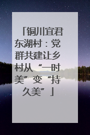 铜川宜君东湖村：党群共建让乡村从“一时美”变“持久美”