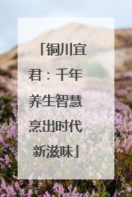 铜川宜君：千年养生智慧烹出时代新滋味