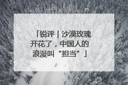 锐评｜沙漠玫瑰开花了，中国人的浪漫叫“担当”