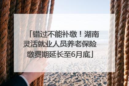 错过不能补缴！湖南灵活就业人员养老保险缴费期延长至6月底