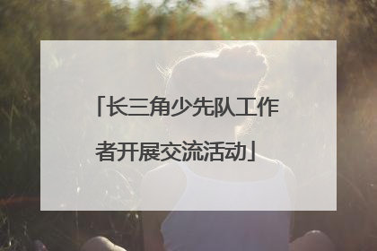 长三角少先队工作者开展交流活动