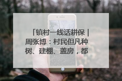 镇村一线话耕保｜周张博：村民但凡种树、建棚、盖房，都要向街道报批