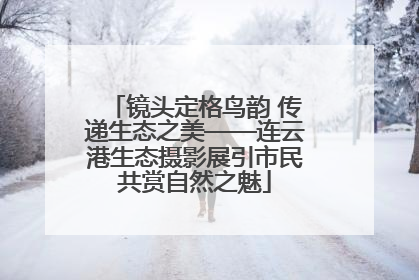 镜头定格鸟韵 传递生态之美——连云港生态摄影展引市民共赏自然之魅