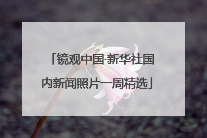 镜观中国·新华社国内新闻照片一周精选