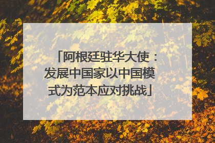 阿根廷驻华大使：发展中国家以中国模式为范本应对挑战