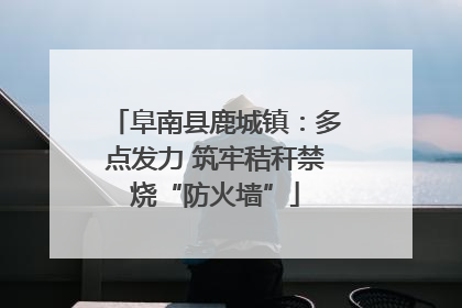 阜南县鹿城镇：多点发力 筑牢秸秆禁烧“防火墙”