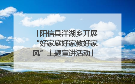 阳信县洋湖乡开展“好家庭好家教好家风”主题宣讲活动