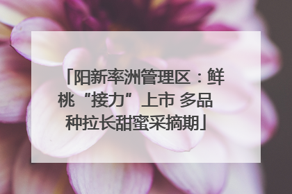 阳新率洲管理区：鲜桃“接力”上市 多品种拉长甜蜜采摘期