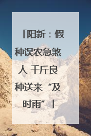 阳新：假种误农急煞人 千斤良种送来“及时雨”