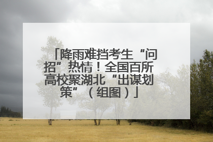 降雨难挡考生“问招”热情！全国百所高校聚湖北“出谋划策”（组图）