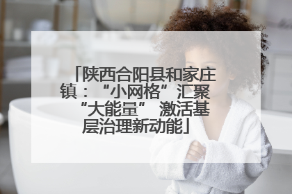 陕西合阳县和家庄镇：“小网格”汇聚“大能量” 激活基层治理新动能