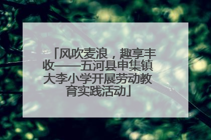 风吹麦浪，趣享丰收——五河县申集镇大李小学开展劳动教育实践活动