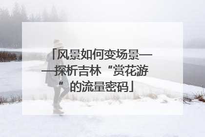 风景如何变场景——探析吉林“赏花游”的流量密码