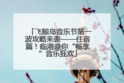 飞鲸岛音乐节第一波攻略来袭——住宿篇！临港邀你“畅享”音乐狂欢
