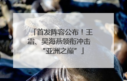首发阵容公布！王霜、吴海燕领衔冲击“亚洲之巅”