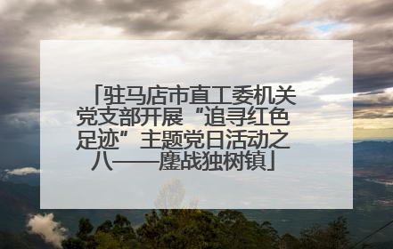 驻马店市直工委机关党支部开展“追寻红色足迹”主题党日活动之八——鏖战独树镇