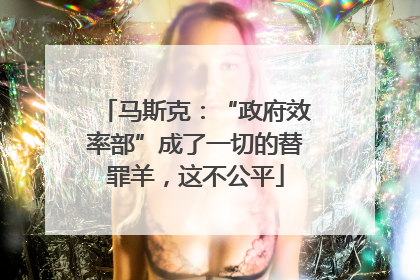 马斯克：“政府效率部”成了一切的替罪羊，这不公平