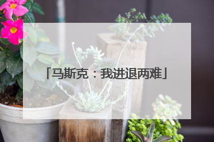 马斯克：我进退两难