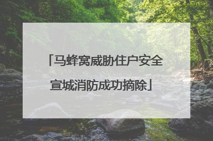 马蜂窝威胁住户安全 宣城消防成功摘除