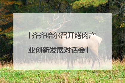 齐齐哈尔召开烤肉产业创新发展对话会