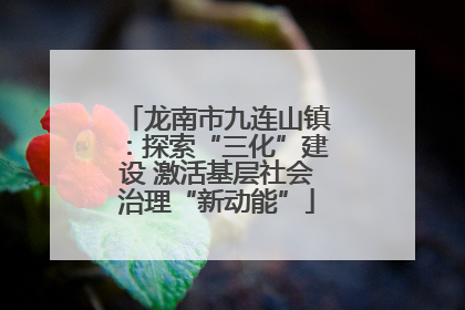 龙南市九连山镇：探索“三化”建设 激活基层社会治理“新动能”