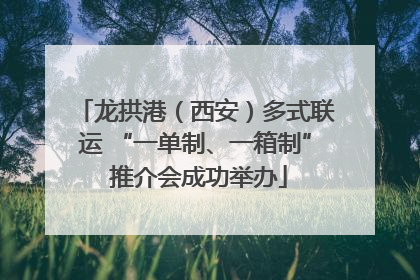 龙拱港（西安）多式联运 “一单制、一箱制” 推介会成功举办