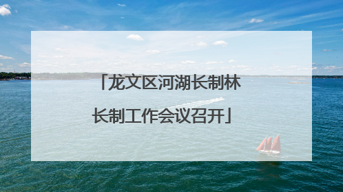 龙文区河湖长制林长制工作会议召开