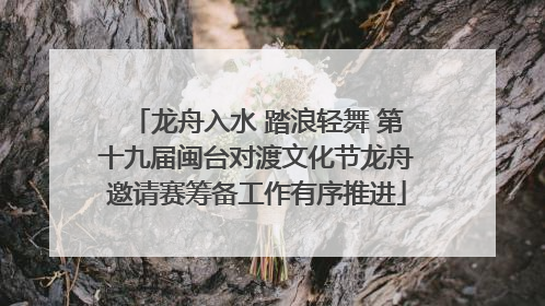 龙舟入水 踏浪轻舞 第十九届闽台对渡文化节龙舟邀请赛筹备工作有序推进