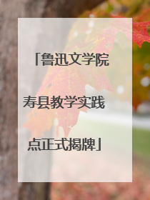 鲁迅文学院寿县教学实践点正式揭牌
