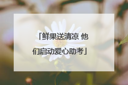 鲜果送清凉 他们启动爱心助考