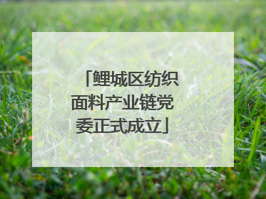 鲤城区纺织面料产业链党委正式成立