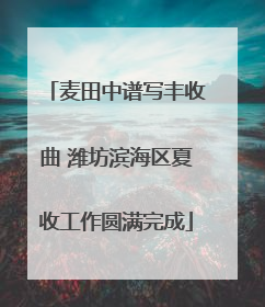 麦田中谱写丰收曲 潍坊滨海区夏收工作圆满完成