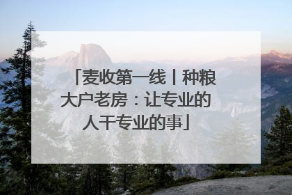麦收第一线丨种粮大户老房：让专业的人干专业的事