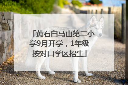 黄石白马山第二小学9月开学，1年级按对口学区招生