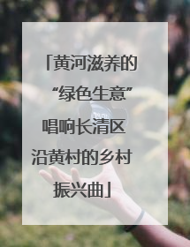 黄河滋养的“绿色生意” 唱响长清区沿黄村的乡村振兴曲