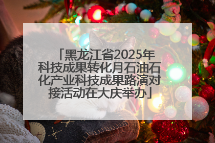 黑龙江省2025年科技成果转化月石油石化产业科技成果路演对接活动在大庆举办