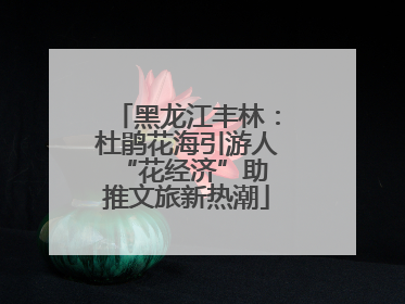 黑龙江丰林：杜鹃花海引游人 “花经济”助推文旅新热潮