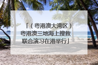 （粤港澳大湾区）粤港澳三地海上搜救联合演习在港举行