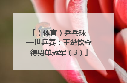 （体育）乒乓球——世乒赛：王楚钦夺得男单冠军（3）