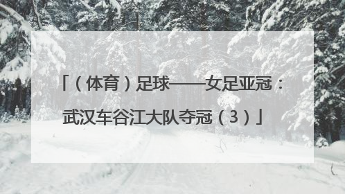 （体育）足球——女足亚冠：武汉车谷江大队夺冠（3）