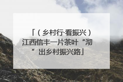 （乡村行·看振兴）江西信丰一片茶叶“沏”出乡村振兴路
