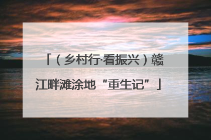 （乡村行·看振兴）赣江畔滩涂地“重生记”